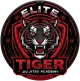 Elite Tiger